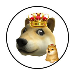 Disco Party Doge