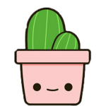 Cactus Studio