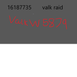 valk raid