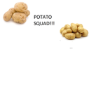 POTATO SQUADDD!