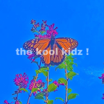 the kool kidz !