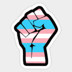 Transgender club