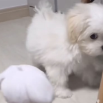 ㅠㅠ누구나 와도 좋으니 제발 많이 오길...친구들아...