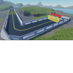 Race