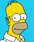 HOMER SIMPSON FANCLUB