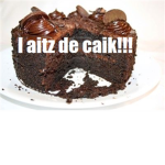 Y U NO CAIK
