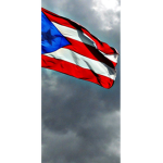 Puerto Rico 4 Life Gang