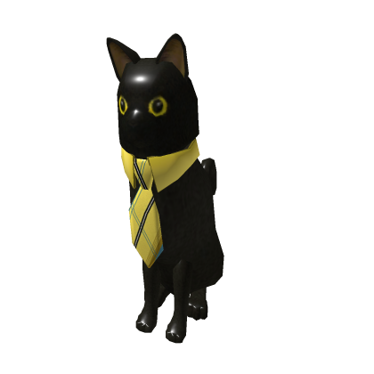 Black cat