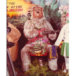 beach bear group