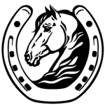Black Heart's Horse Training Academy!