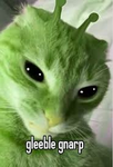 GnarpGnarp group