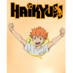 HQ Volleyball Group!