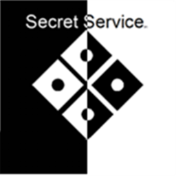 (NEW) The Runner