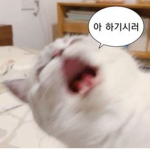 사연읽는그룹
