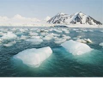 ice like it