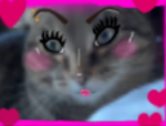 ୨୧ Piink ୨୧