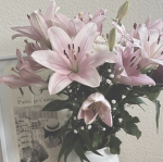 *blossomed*