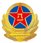 [PLA]重庆解放军