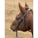 horse gorup