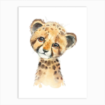 x Safari Group x