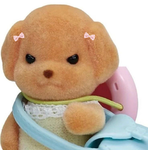 !Cute Animals!