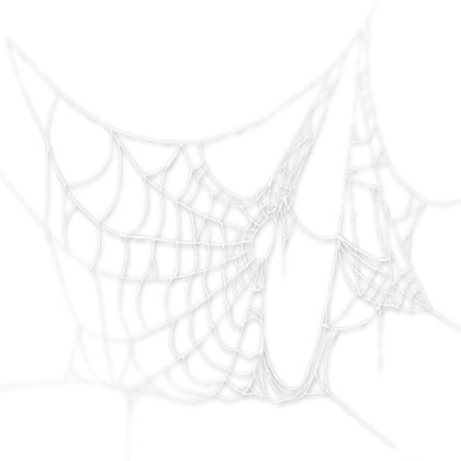 Spiderwebs (Transparent) Roblox decal