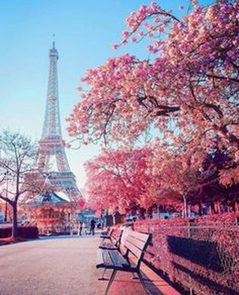 Printed Picture