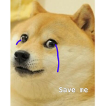 Save doges and dogs!