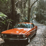 orangemustang