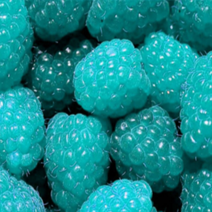 Pastel Cyan Berries Roblox decal