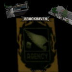 AGENCY BROKHAVEN
