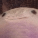 My phone was dead