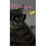 Ѕωαg Вαиαиα ¢υℓт