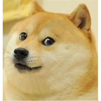 cube sans multiverse