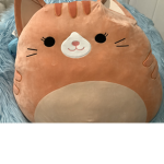 THE-SQUISHMALLOW-SQAUD-SO-SQUISHY-JOIN-NOW-YESSSSS