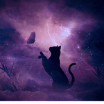 Gamer Cats!!!