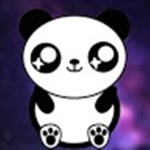 PandaYT squad