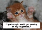 CATSMEOW