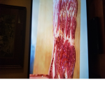 WWELCOME TO THE OFFICAL BACON KINGDOM