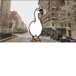 "Goose Studios"