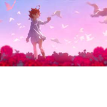 Willow's fan kingdom