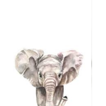 Save da Elephants!