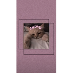 Shhajanxnzjznx
