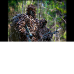 (UFR) Spetsnaz