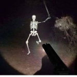 meme and meme