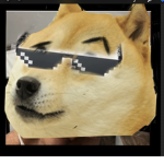 Meme Doge Studios