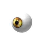 Roblox ### Fan Group!