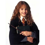TEAM POTTER