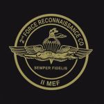 2nd Force Reconnaissance Company Remnants