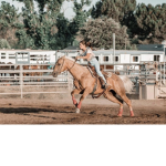 ~equestrians~